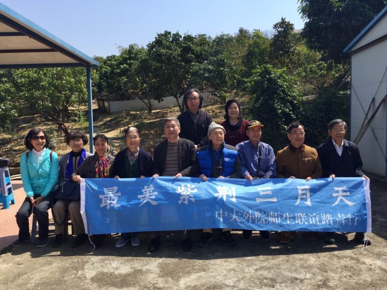 最美紫荆三月天–钟落潭农庄游