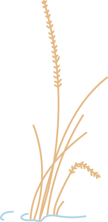 岁月留声,桃李芬芳