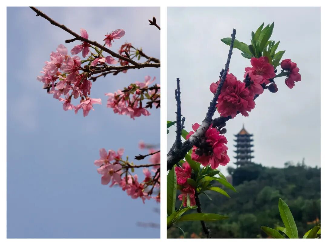 用爱与欢笑拥抱春暖花开