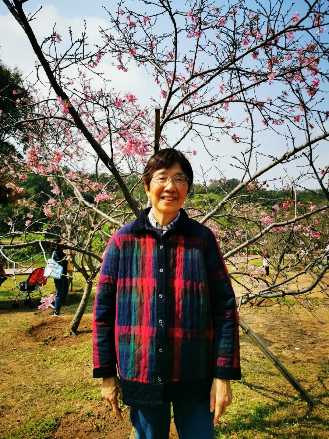 用爱与欢笑拥抱春暖花开