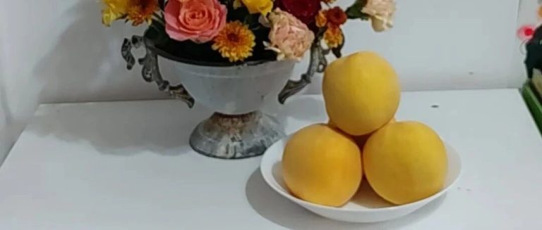 立秋 · 仙桃 · 喜乐