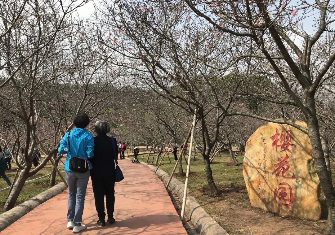 用爱与欢笑拥抱春暖花开