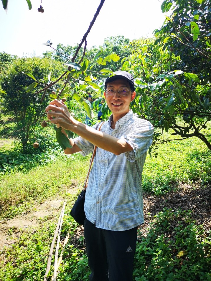 畅游自在山庄，喜撷岭南佳果