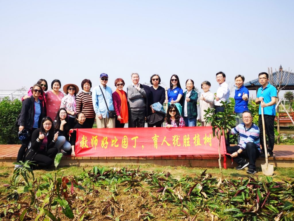 春意满园，绿树同栽