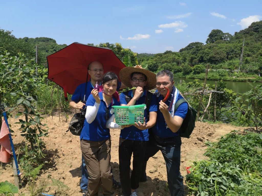 畅游自在山庄，喜撷岭南佳果
