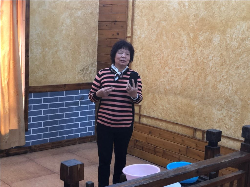 春意满园，绿树同栽