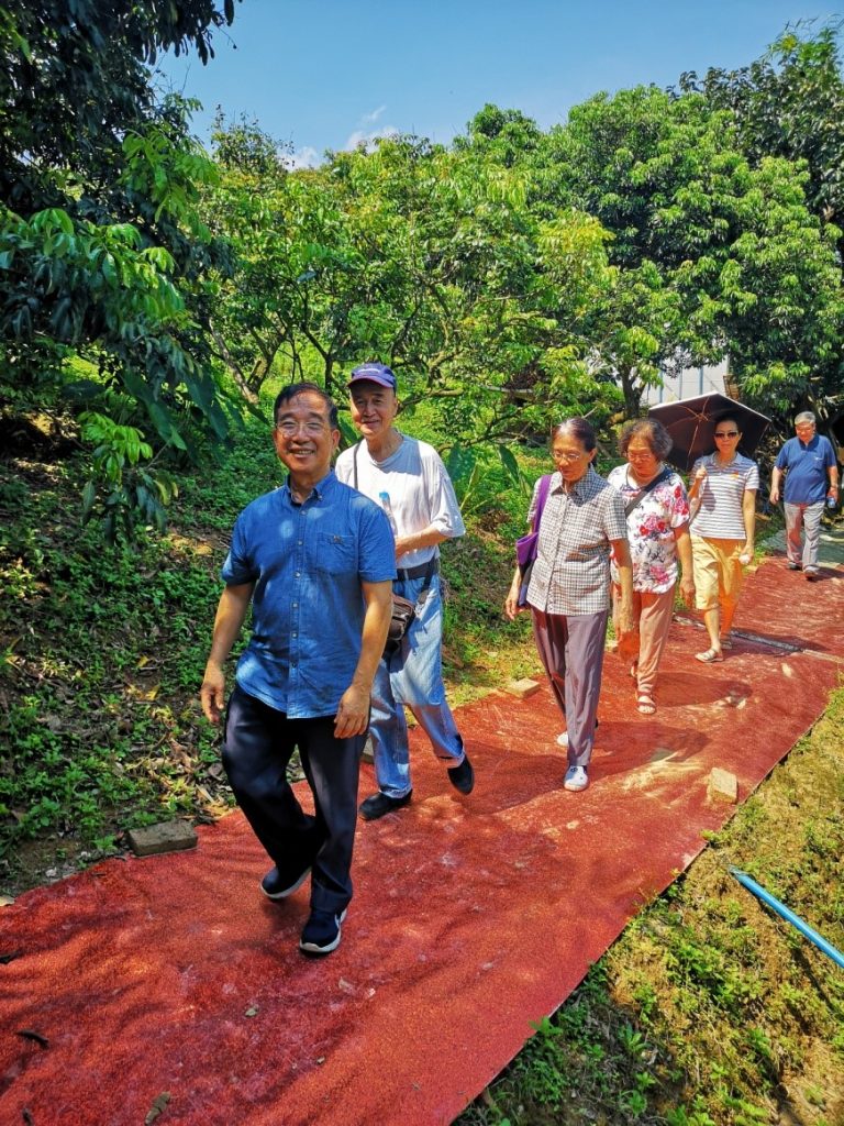 畅游自在山庄，喜撷岭南佳果