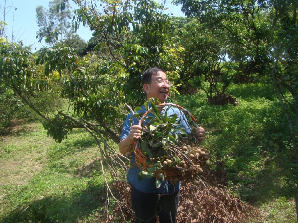 畅游自在山庄，喜撷岭南佳果