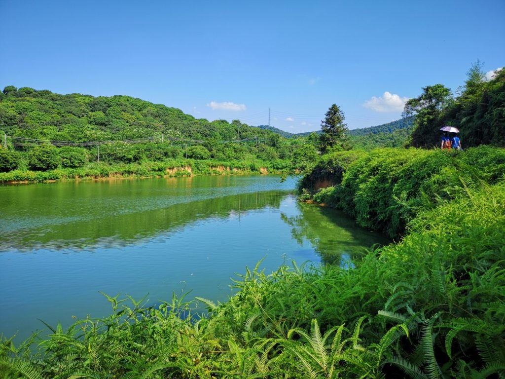 畅游自在山庄，喜撷岭南佳果