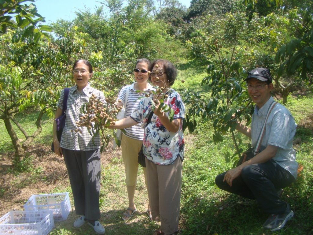 畅游自在山庄，喜撷岭南佳果