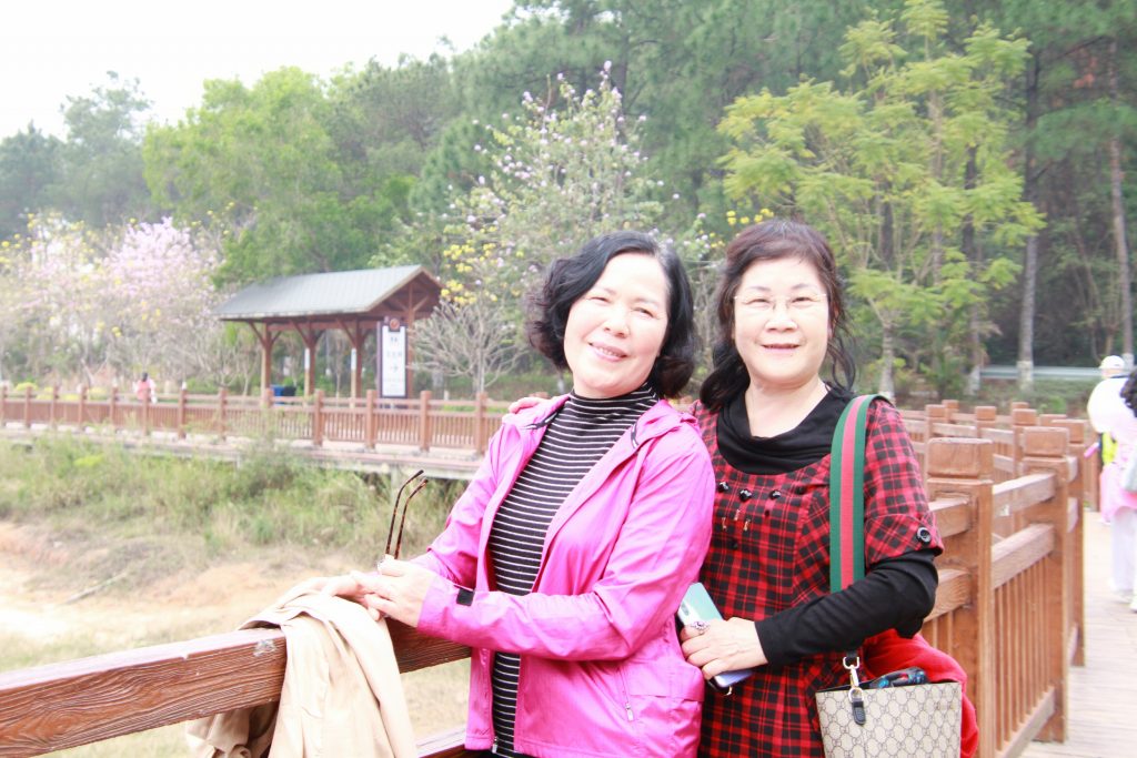 我们,一起春游去!